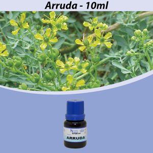 Essência Arruda para Cosméticos e Sabonetes Linha Azul Irmãos Haluli (10ml)