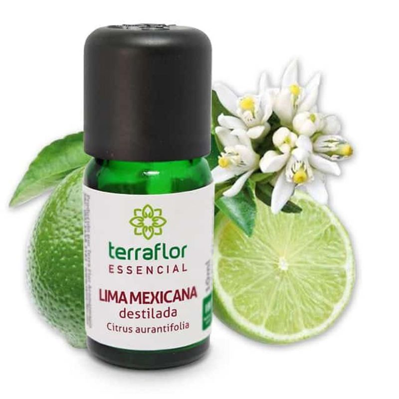 Oleo-Essencial-Lima-Mexicana-TerraFlor--10ml-
