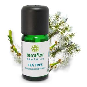 Óleo Essencial Orgânico Tea Tree TerraFlor (10ml)