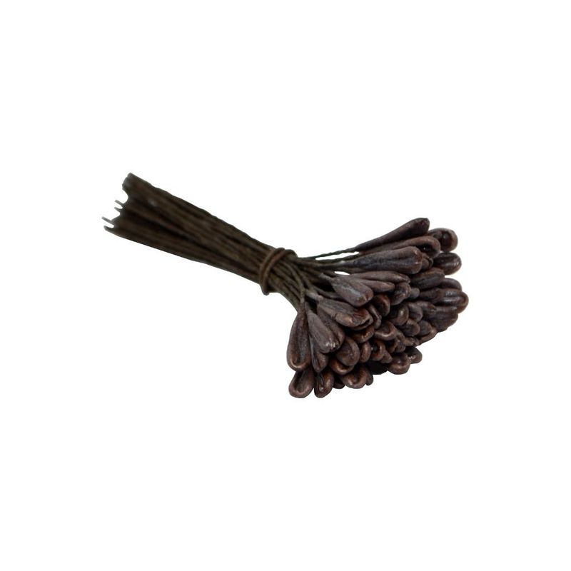 Pistilo-Folhinha-Marrom-Cabo-Barbante-Marrom-Ref.--EL01039-Pistilos-Primor--50-unidades-