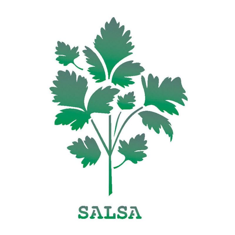 Stencil Simples de Acetato para Pintura 14x14cm Ref. OPA 2021 Tempero Salsa OPA (01 unidade)