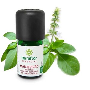Óleo Essencial Manjericão Exótico TerraFlor (5ml)