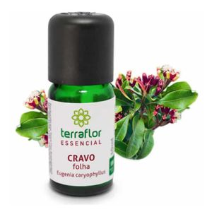 Óleo Essencial Cravo Folha TerraFlor (10ml)