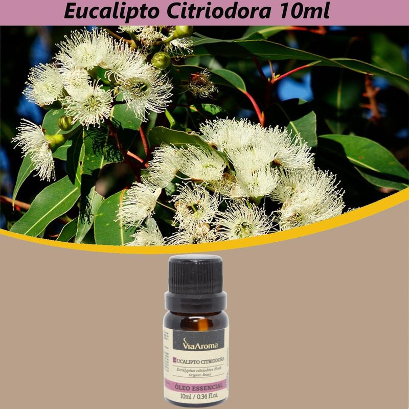 Oleo-Essencial-Eucalipto-Citriodora-Via-Aroma--10ml-