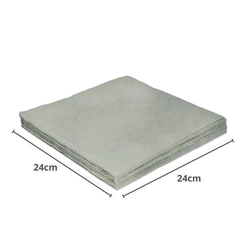 Guardanapos-de-Papel-em-Folha-Dupla-24x24cm-Prata-Silver-Festas--20-unidades-