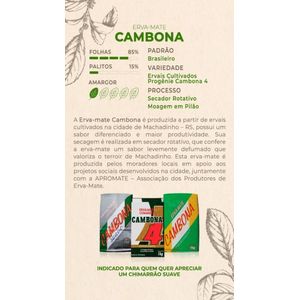 Erva-Mate Chimarrão Cambona 4 ao Vácuo (1KG)