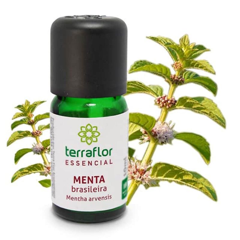 Oleo-Essencial-Menta-Brasileira-TerraFlor--10ml-