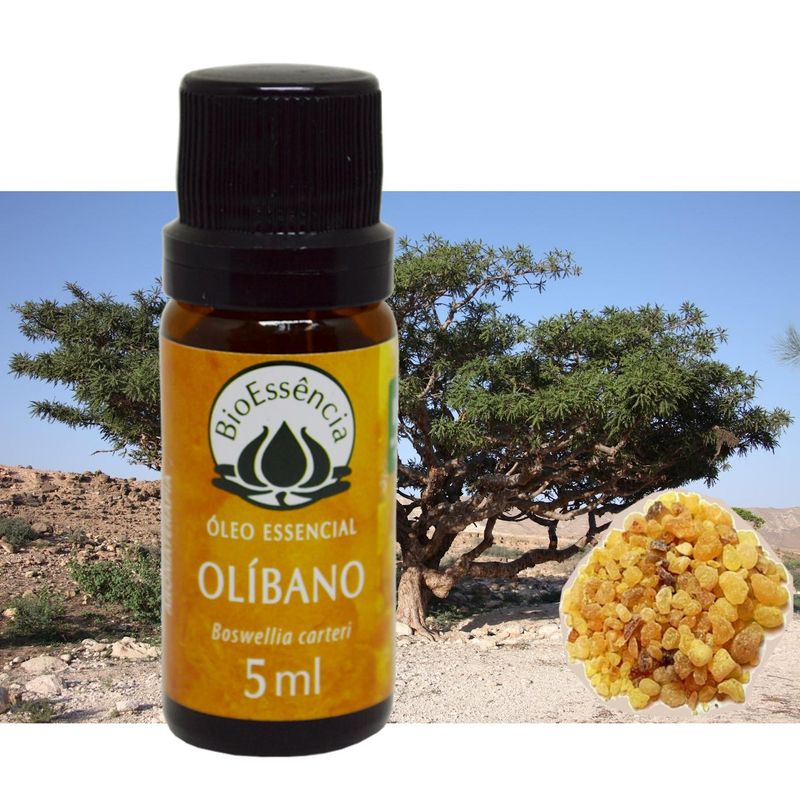 Oleo-Essencial-Olibano-BioEssencia--5ml-