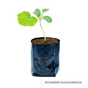Saco Plástico Para Muda 12x17cm Com Furo (100UND)