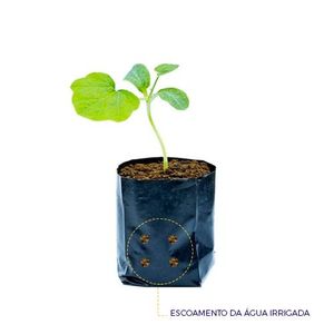 Saco Plástico Para Muda 09X17cm Com Furo (100 unidades)