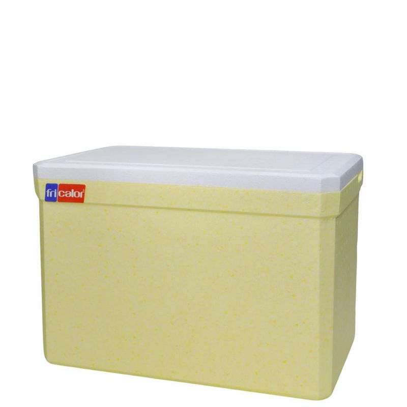 Caixa-Termica-de-Isopor-C--Alca-21-Litros-Ref.-101249-Fricalor--01-unidade-