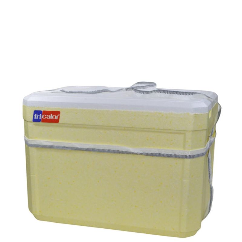 Caixa-Termica-de-Isopor-C--Alca-21-Litros-Ref.-101249-Fricalor--01-unidade-