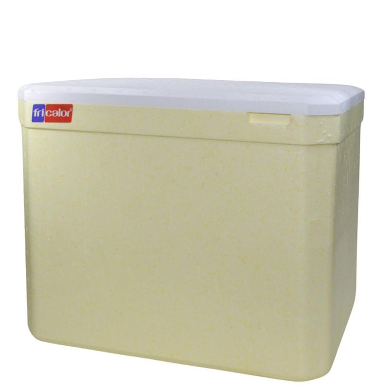 Caixa-Termica-de-Isopor-S--Alca-45-Litros-Ref.-101217-Fricalor--01-unidade-