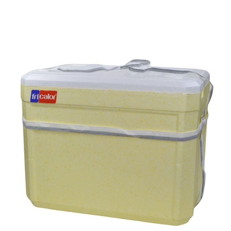 Caixa Térmica de Isopor C/ Alça 36 Litros Ref. 101212 Fricalor (01 unidade)