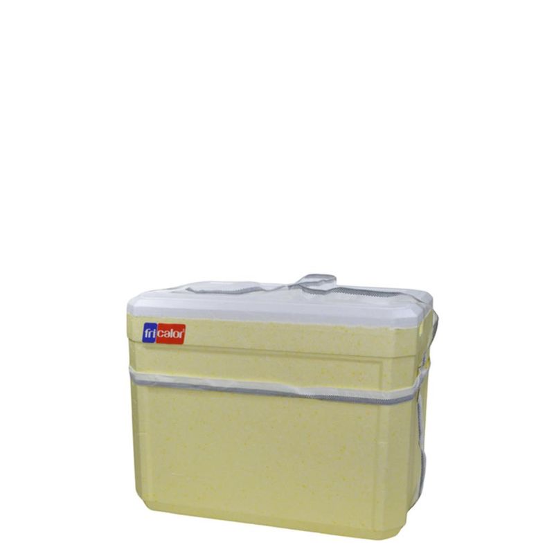 Caixa-Termica-de-Isopor-C--Alca-8-Litros-Ref.-010122-Fricalor--01-unidade-