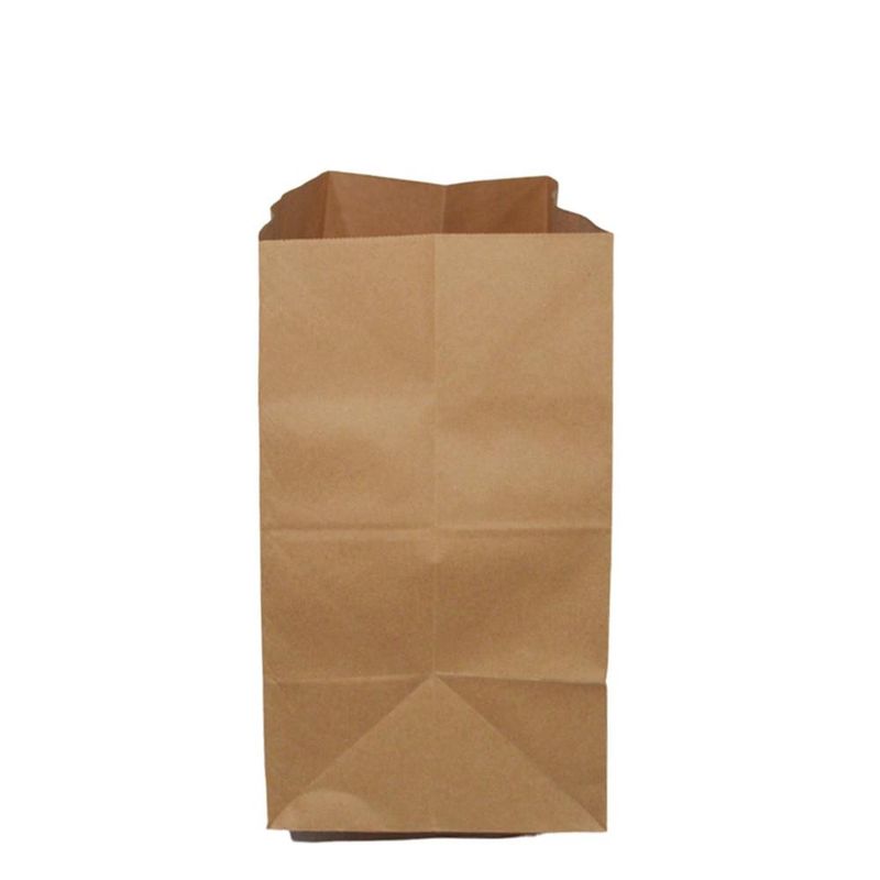 Saco-de-Papel-Kraftt-Delivery-S--Impressao-M-32x22x12cm-Dura-Mais-JP--50-unidades-