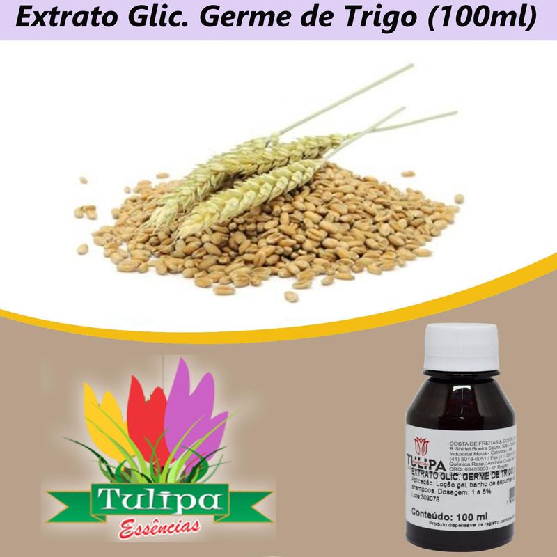 Extrato-Glicolico-Germe-de-Trigo-Tulipa-Essencias--100ml-