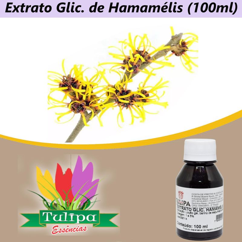Extrato-Glicolico-de-Hamamelis-Tulipa-Essencias--100ml-
