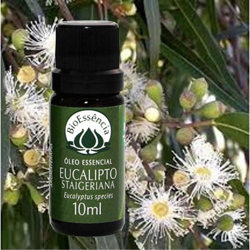 Oleo-Essencial-Eucalipto-Staigeriana-BioEssencia--10ml-