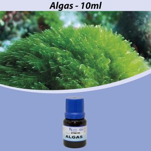 Essência Algas para Cosméticos e Sabonetes Linha Azul Irmãos Haluli (10ml)