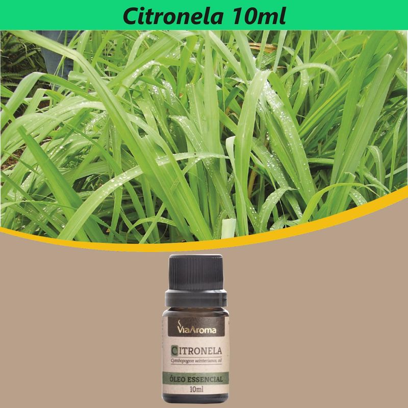 Oleo-Essencial-Citronela-Via-Aroma--10ml-