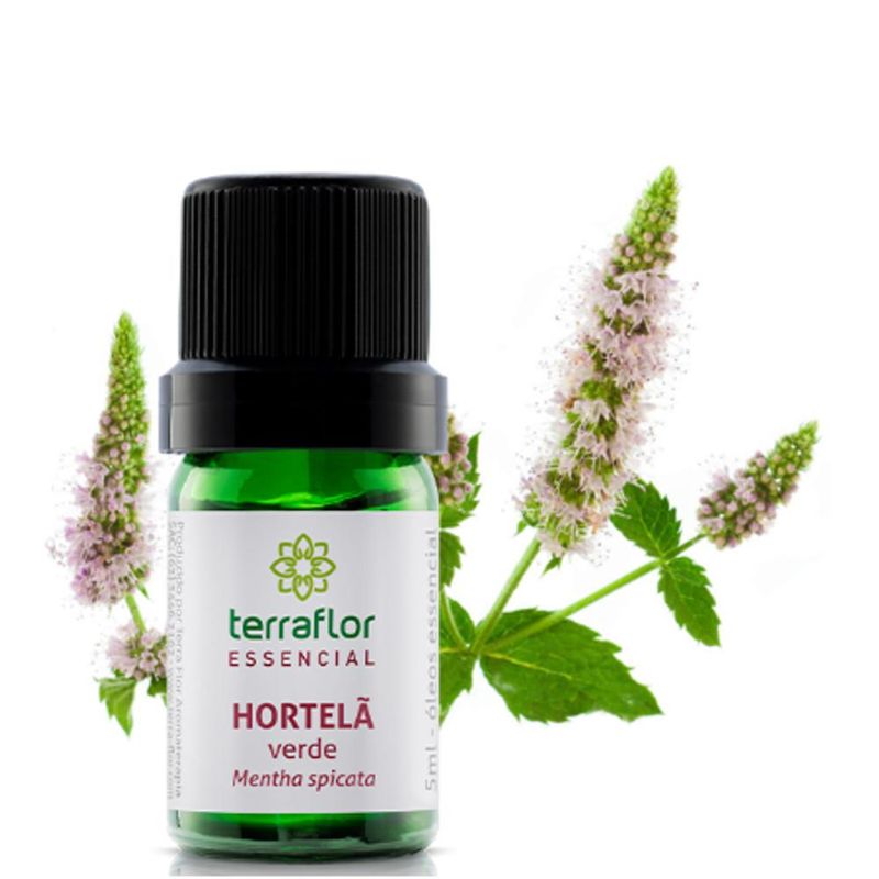 Oleo-Essencial-Hortela-Verde-TerraFlor--5ml-