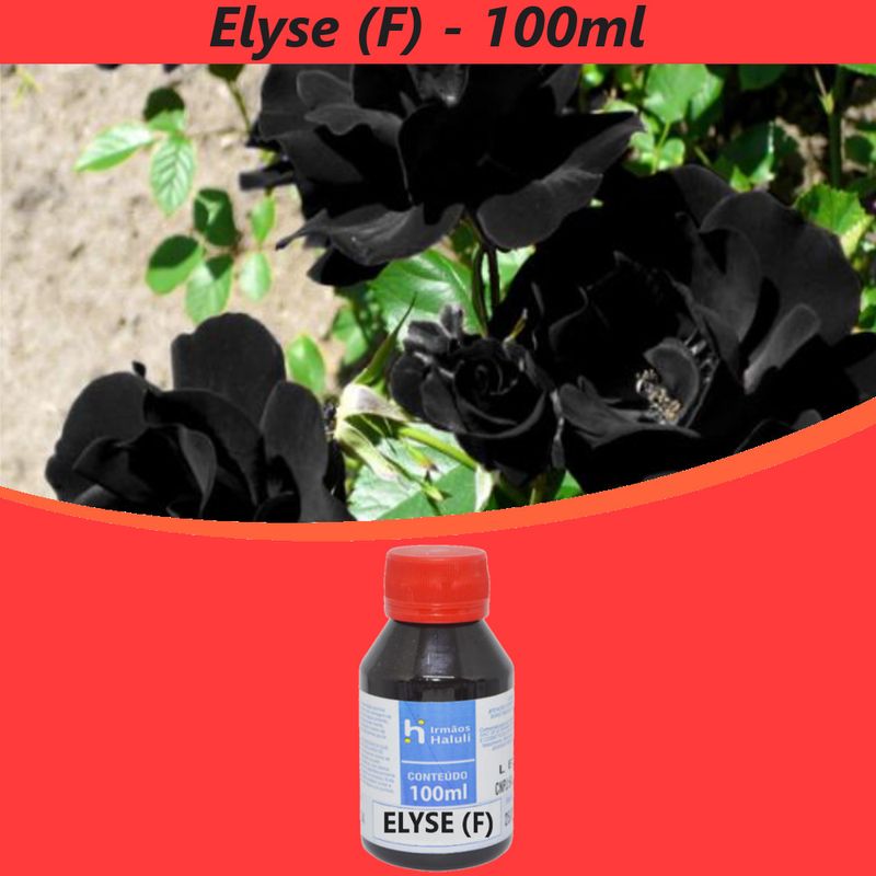Essencia-Elyse--F--P--Perfumes-Linha-Vermelha-Irmaos-Haluli--100ml-