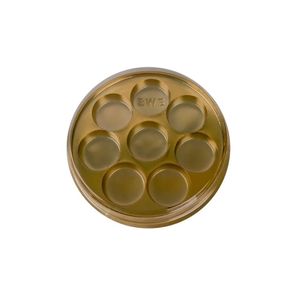 Caixa de Plástico Redonda P/ Bombons C/ 8 Cavidades Dourado Ref. 14080 BWB (01 unidade)