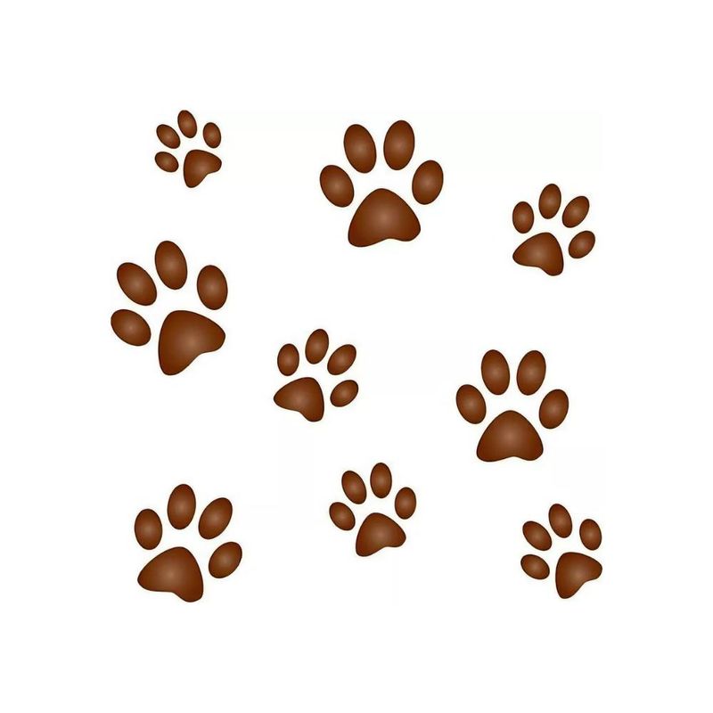 Stencil-Simples-de-Acetato-para-Pintura-10x10cm-Ref.-STX-161-Estampa-de-Pata-Litoarte--01-Unidade-