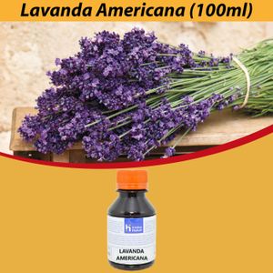 Essência Lavanda Americana para Domissanitários Linha Laranja Irmãos Haluli (100ml) - VALIDADE: 23/08/2025