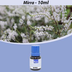 Essência Mirra para Cosméticos e Sabonetes Linha Azul Irmãos Haluli (10ml)