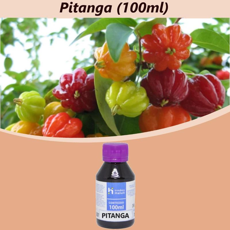 Essencia-Pitanga-para-Ambiente-e-Difusor-Linha-Lilas-Irmaos-Haluli--100ml-