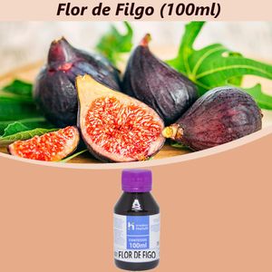 Essência Flor de Figo para Ambiente e Difusor Linha Lilás Irmãos Haluli (100ml)