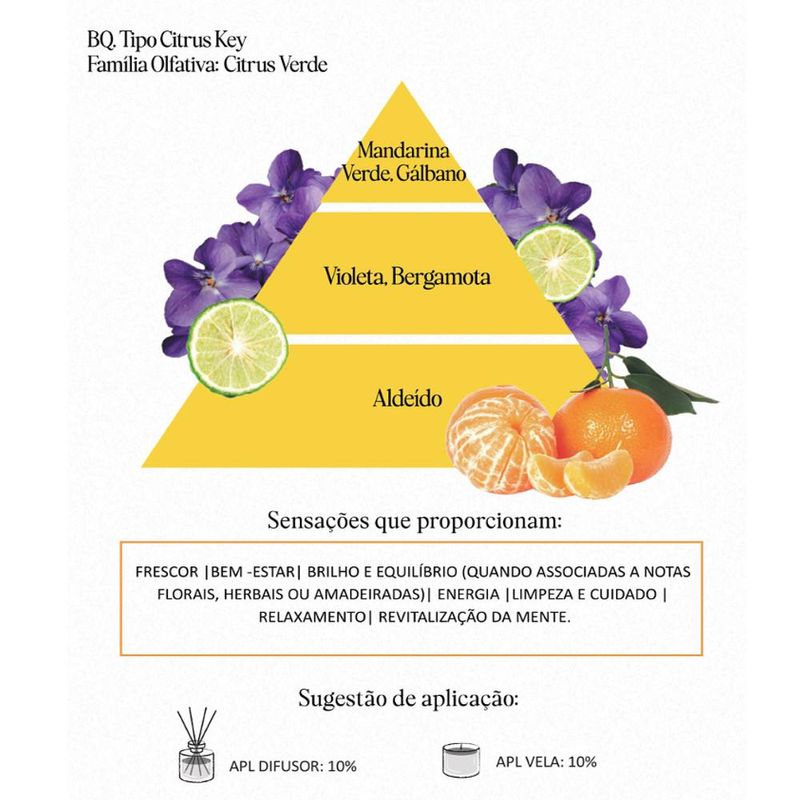 Acorde-Olfativo-Citrus-Key-P--Ambiente-e-Difusor-Linha-Lilas-Irmaos-Haluli--100ml-