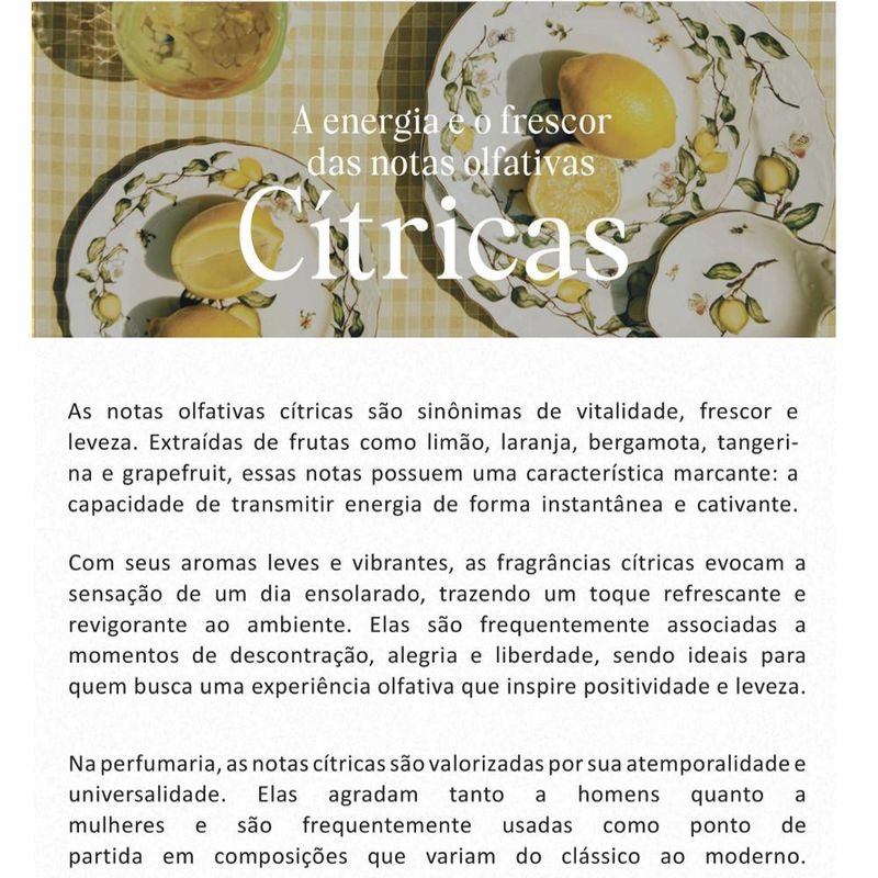 Acorde-Olfativo-Citrus-Key-P--Ambiente-e-Difusor-Linha-Lilas-Irmaos-Haluli--100ml-