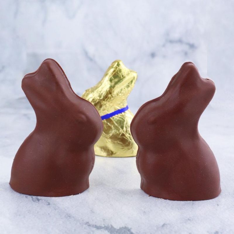 Forma Especial de Acetato C/ Silicone Coelhinho 15g RF-10558 BWB (01 unidade)