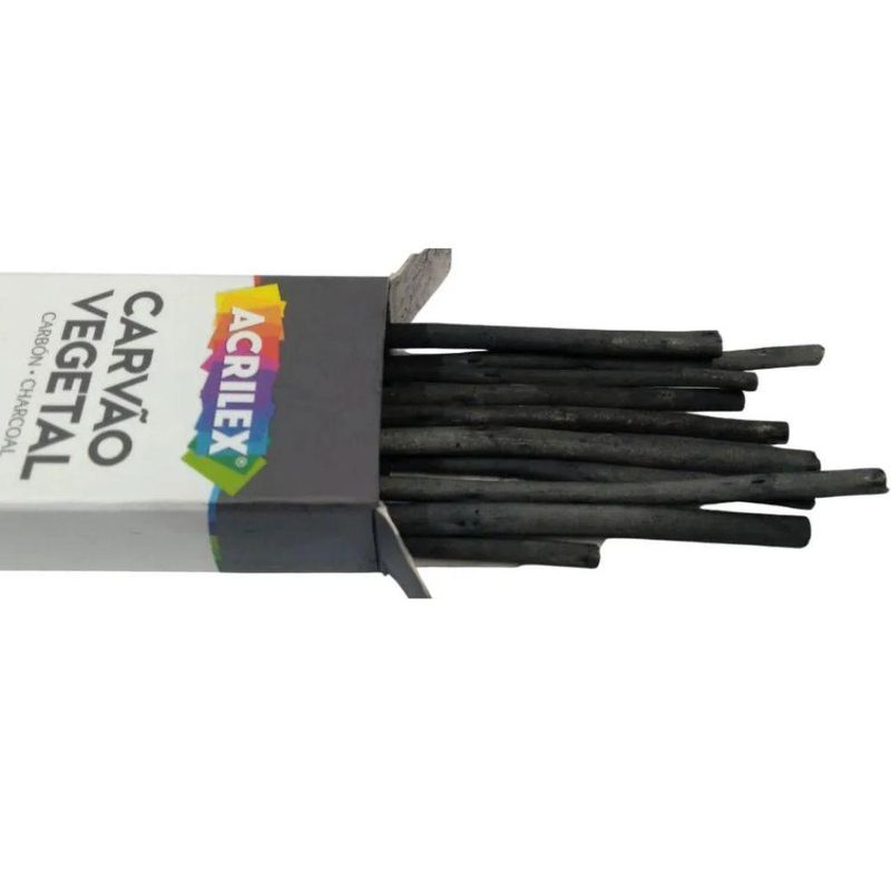 Carvão Vegetal Espessura Média Acrilex (06 Unidades)