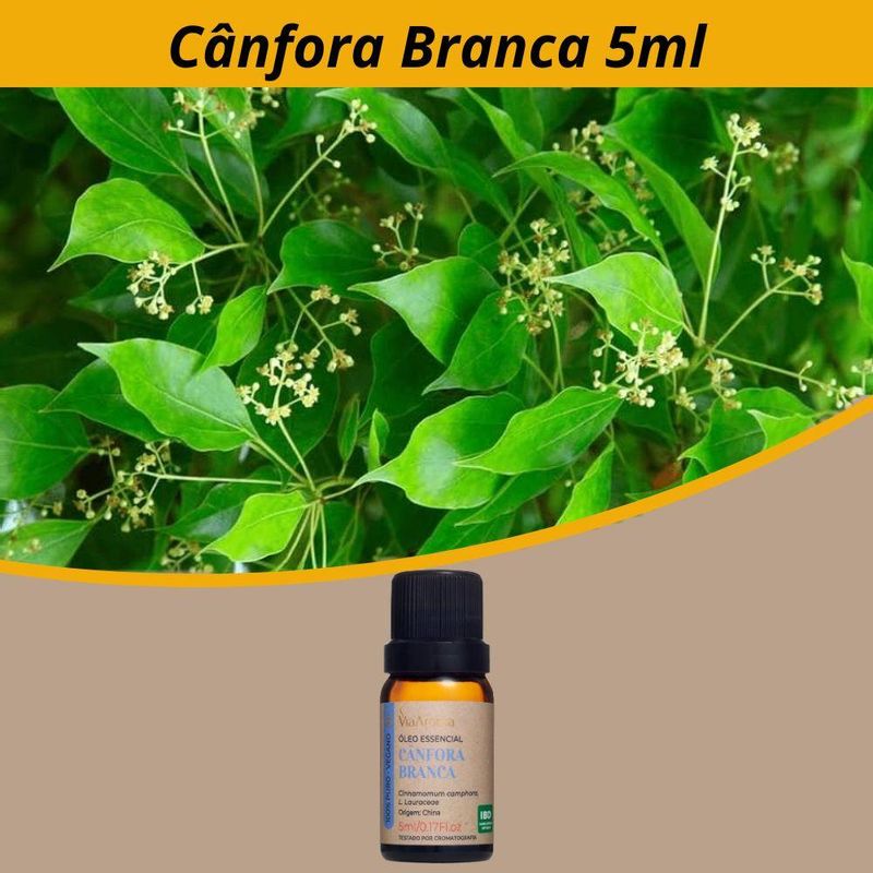 Óleo Essencial de Cânfora Branca Via Aroma (5ml)