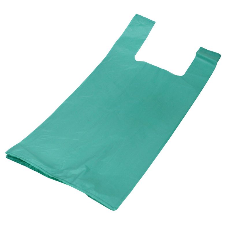 Sacola Plástica Lisa Verde 50x60x0,05 1kg Ref.: 20 (01 unidade)