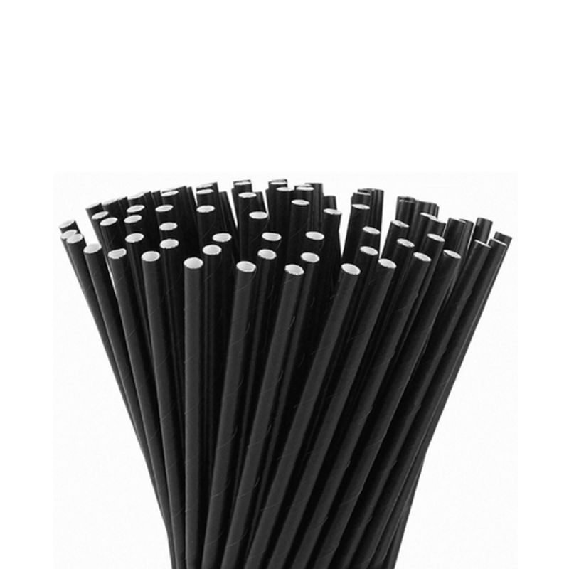 Canudo de Papel Preto 20cm Natural Produtos (100 unidades)