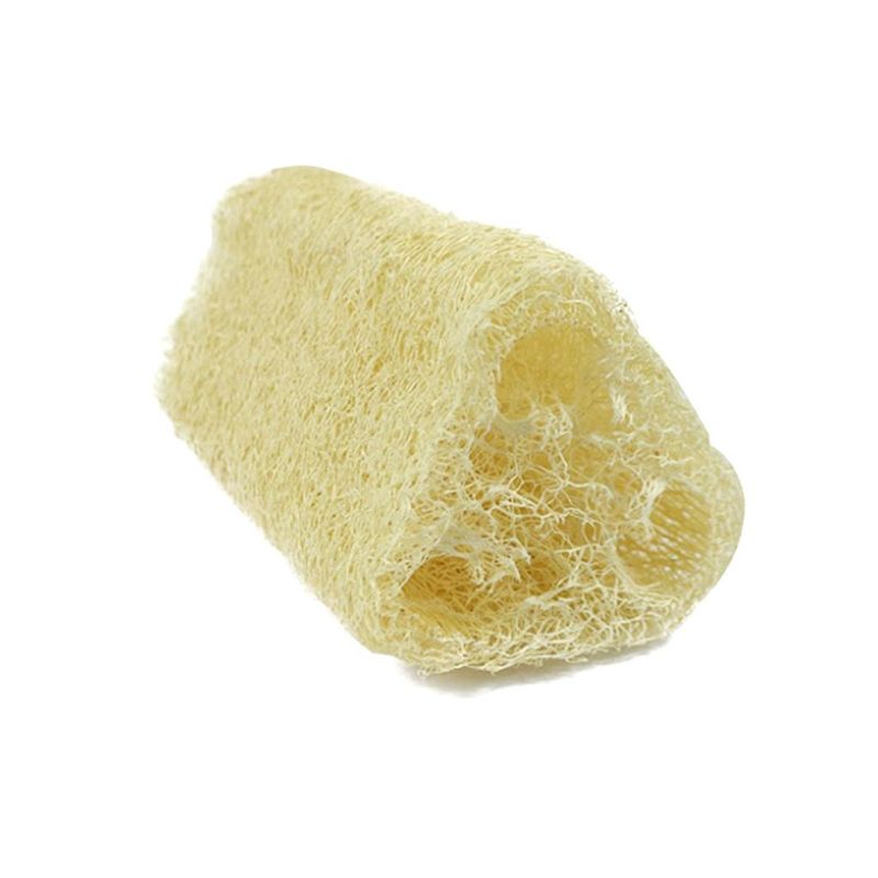 Bucha Vegetal Natural Pop Fibra Forte (01 unidade)